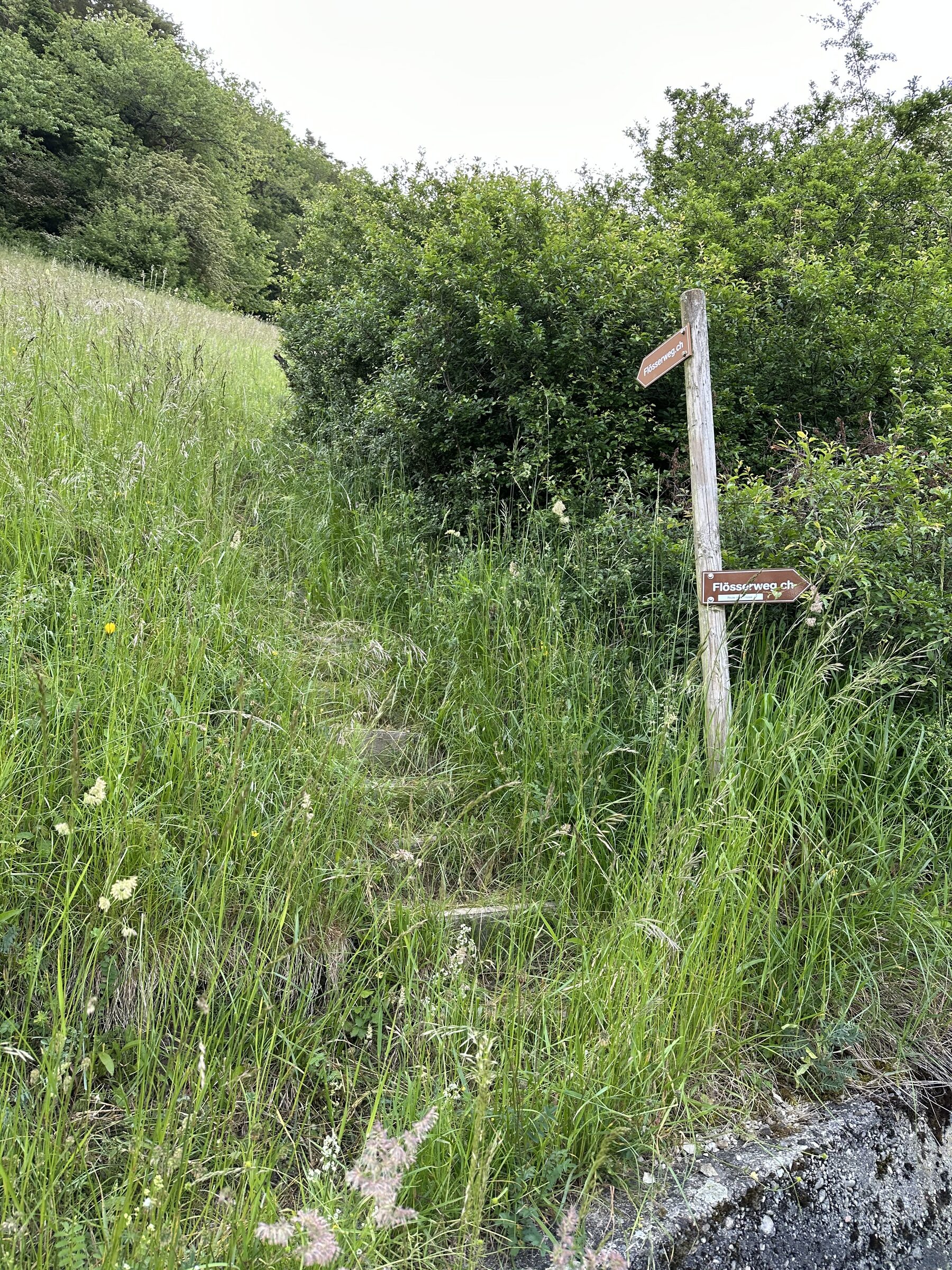 Schmaler Pfad mit Hinweisschildern Flösserweg bei grüner Wiese und Gebüsch im Mettauertal am Morgen