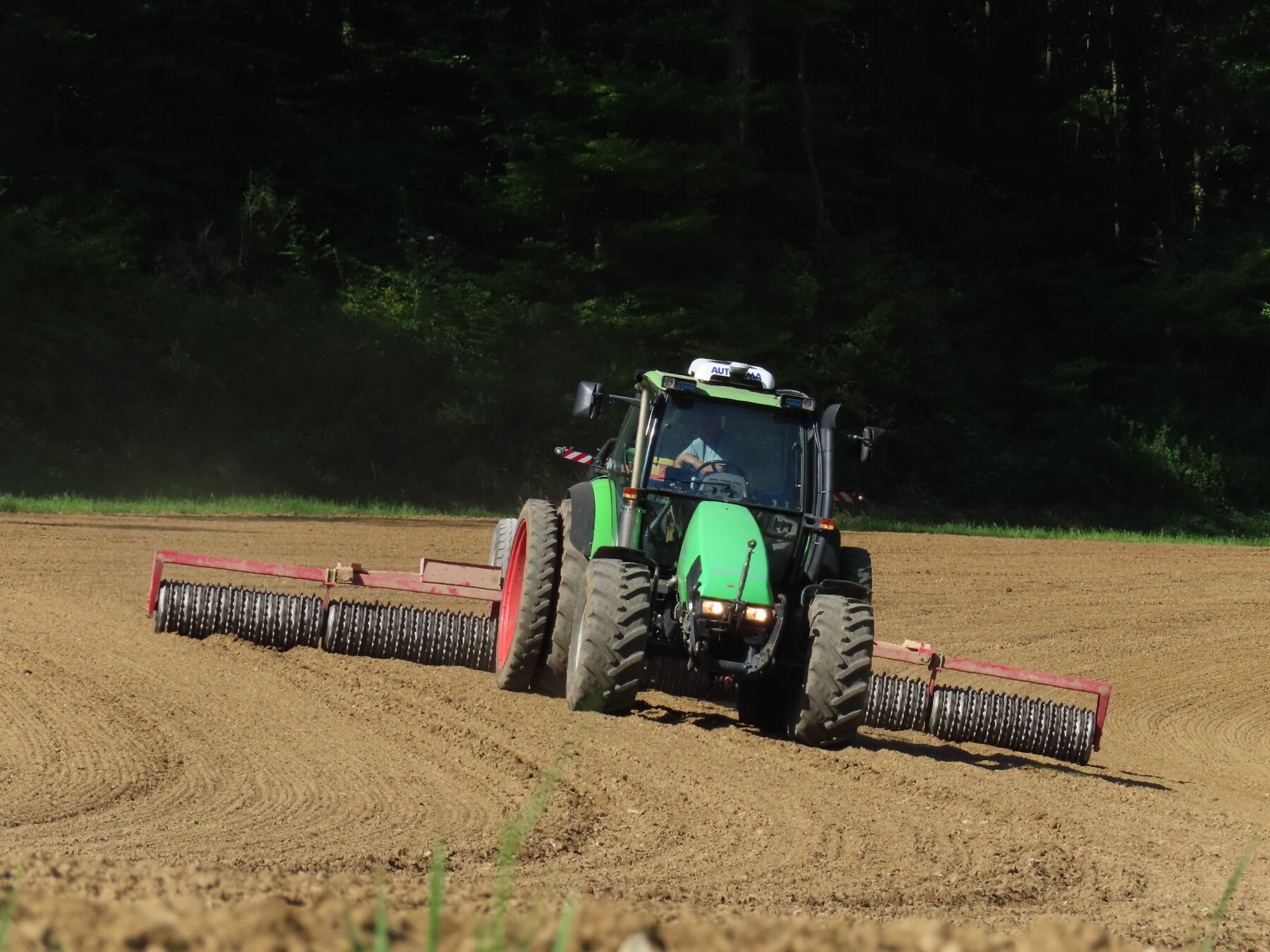 Landwirt walzt Maisfeld im Diendel im Mettauertal Ende April zur Verbesserung des Kontakts zwischen Saatgut und Boden