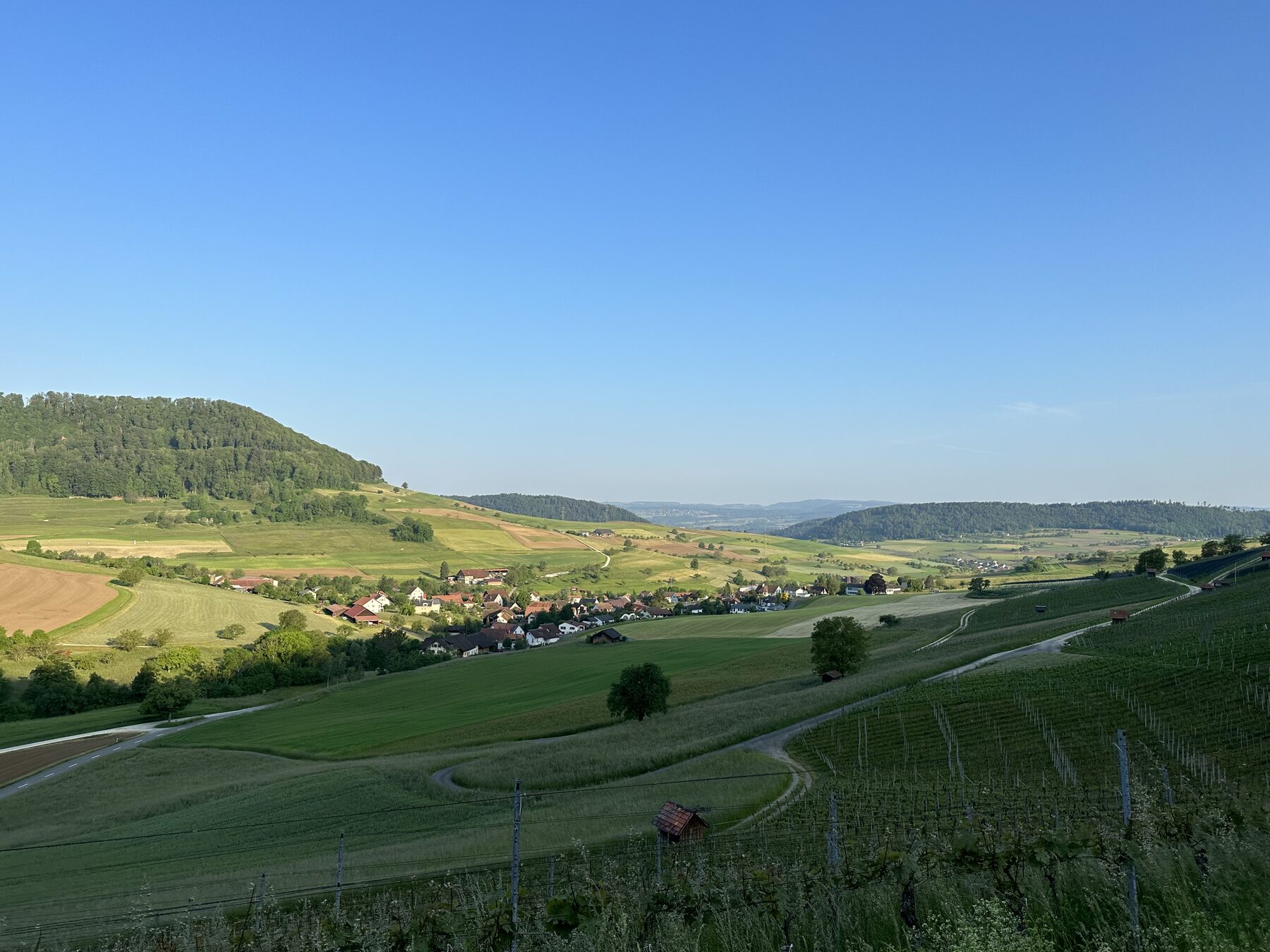 Blick über Rebberge, Wiesen und ein Dorf in einem Tal unter blauem Himmel am Morgen im Mettauertal