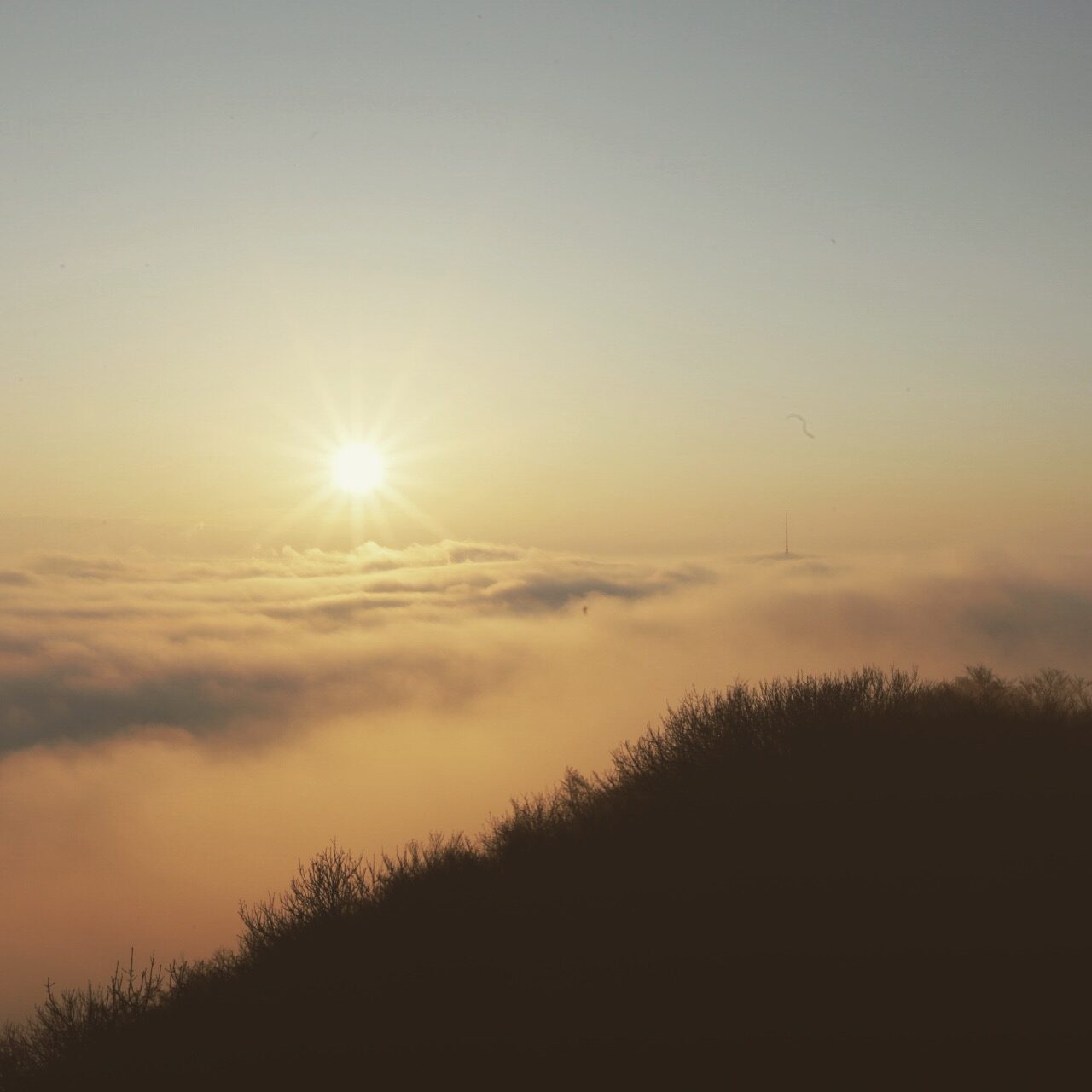 Sonnenaufgang über einer Nebeldecke mit kahlem Waldrand im Vordergrund bei Wil AG