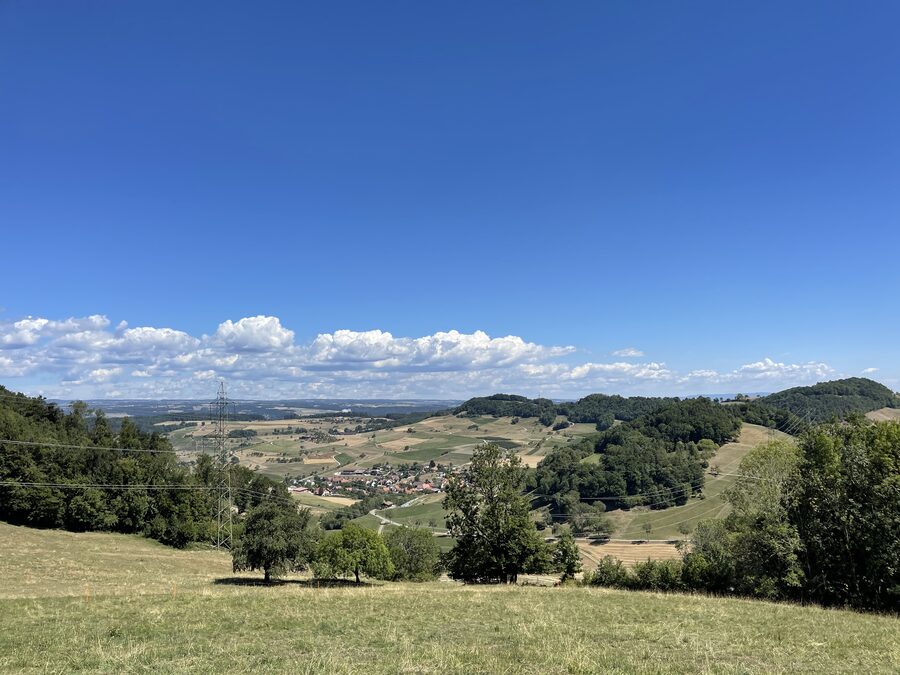 Landschaft mit Wiesen, Wald und Feldern unter blauem Himmel, Dorf sichtbar in der Talmitte, Stromleitung links