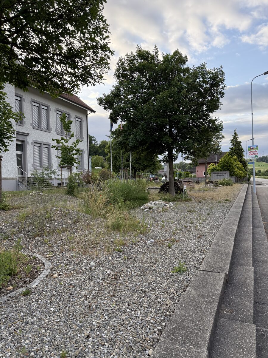 Ruderalfläche mit 34 einheimischen, insektenfreundlichen Stauden, Kräutern und Gräsern sowie einem Tannen-Wurzelstock als Unterschlupf beim Verwaltungszentrum in Mettau