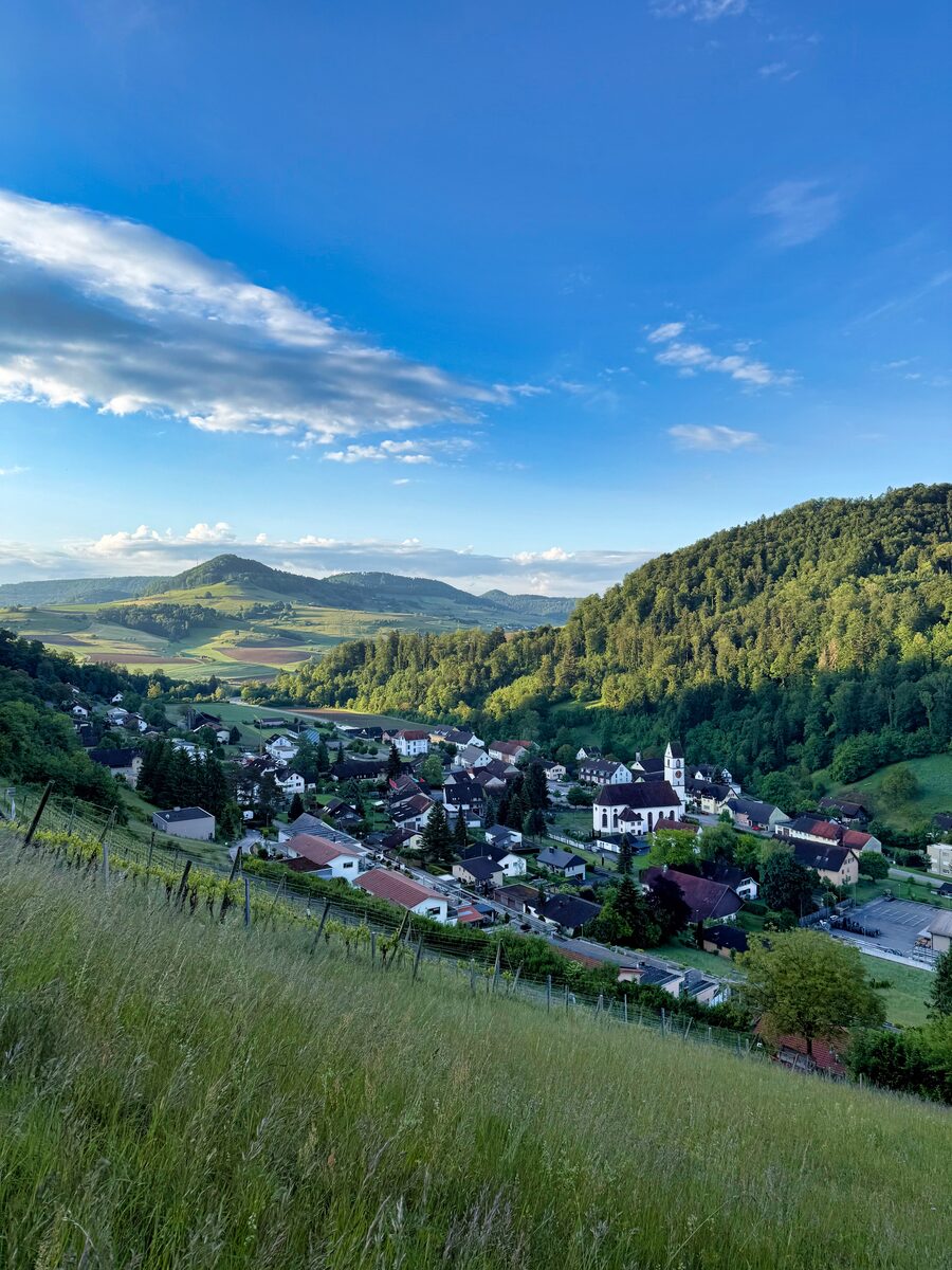 Talpanorama mit Blick von der Chilhalde auf Mettau, im Hintergrund die Buechhalde rechts und der Laubberg links der Bildmitte