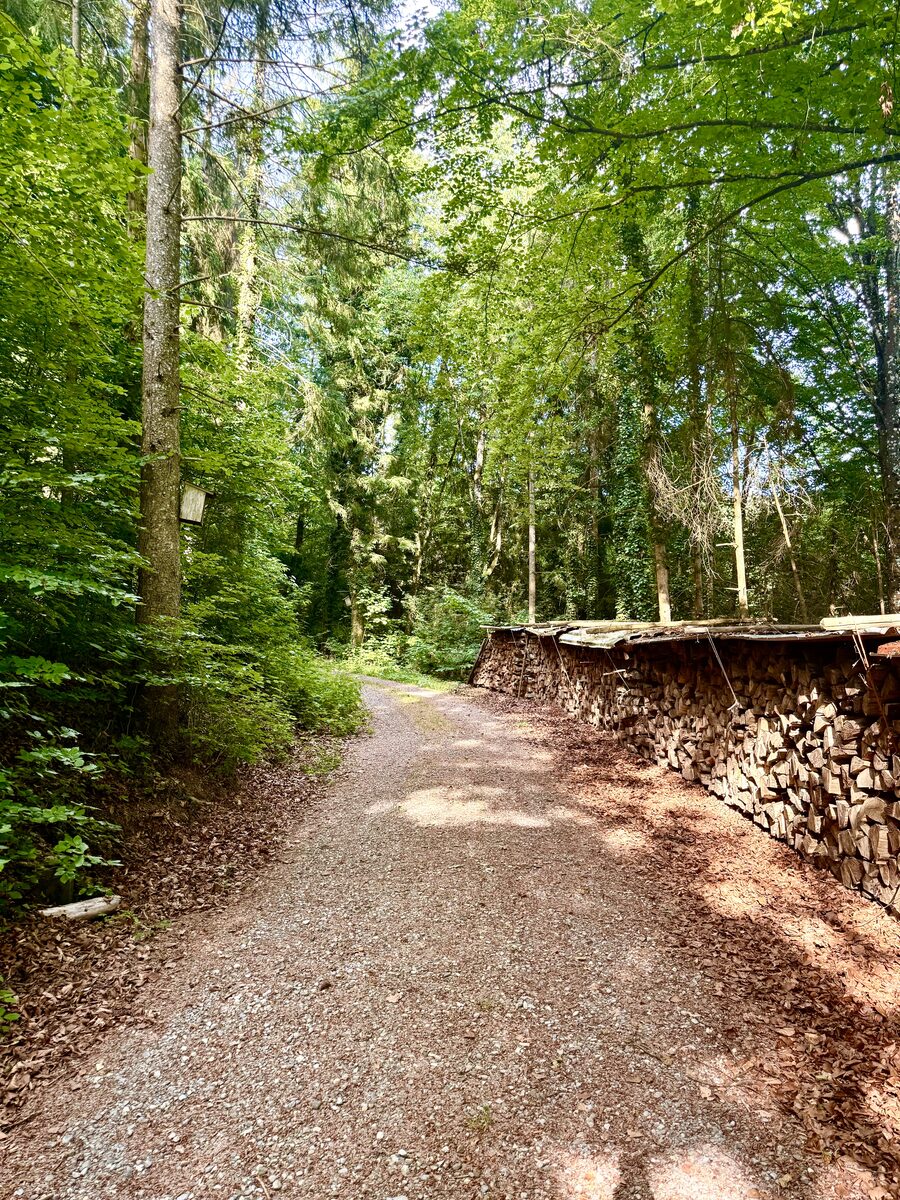 Waldweg im Mettauertal mit an der Seite gestapelten Holzbeigen aus Brennholz